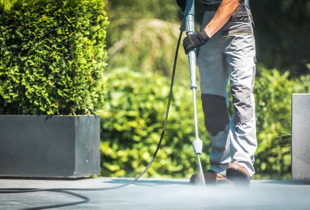 Best Sidewalk and Walkway Cleaning  in Mifflinburg, PA